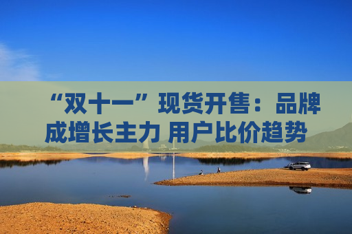 “双十一”现货开售：品牌成增长主力 用户比价趋势明显