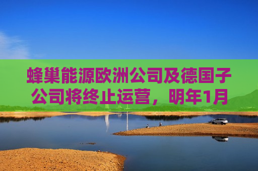 蜂巢能源欧洲公司及德国子公司将终止运营，明年1月31日生效  第1张