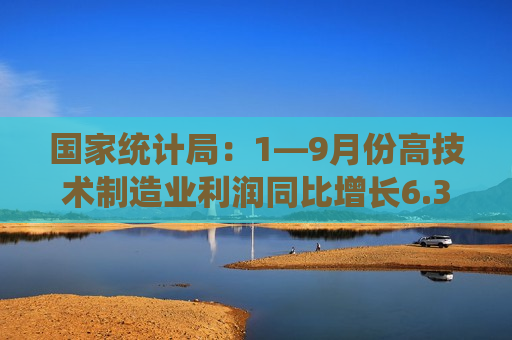 国家统计局：1—9月份高技术制造业利润同比增长6.3%
