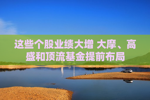 这些个股业绩大增 大摩、高盛和顶流基金提前布局