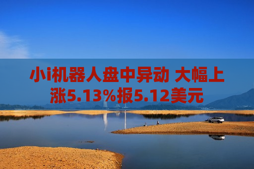 小i机器人盘中异动 大幅上涨5.13%报5.12美元  第1张