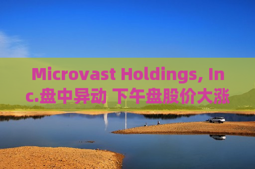 Microvast Holdings, Inc.盘中异动 下午盘股价大涨5.10%报0.222美元