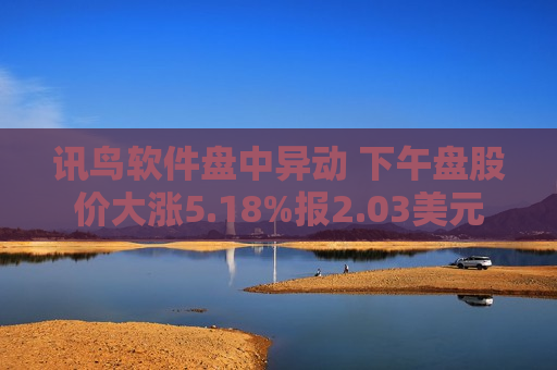 讯鸟软件盘中异动 下午盘股价大涨5.18%报2.03美元
