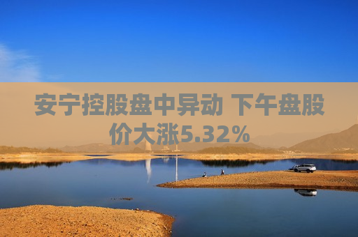 安宁控股盘中异动 下午盘股价大涨5.32%