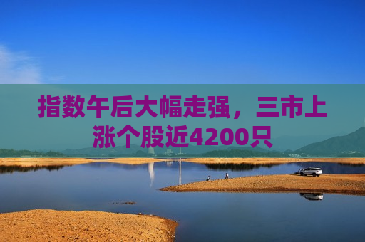 指数午后大幅走强，三市上涨个股近4200只