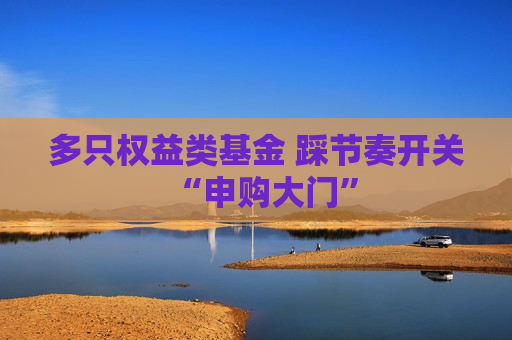 多只权益类基金 踩节奏开关“申购大门”  第1张