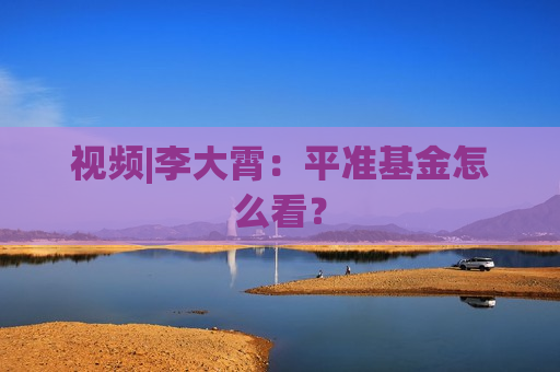 视频|李大霄：平准基金怎么看？