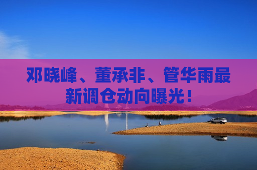 邓晓峰、董承非、管华雨最新调仓动向曝光！  第1张