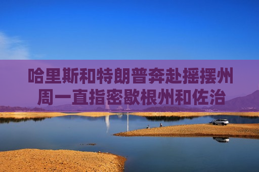 哈里斯和特朗普奔赴摇摆州 周一直指密歇根州和佐治亚州  第1张