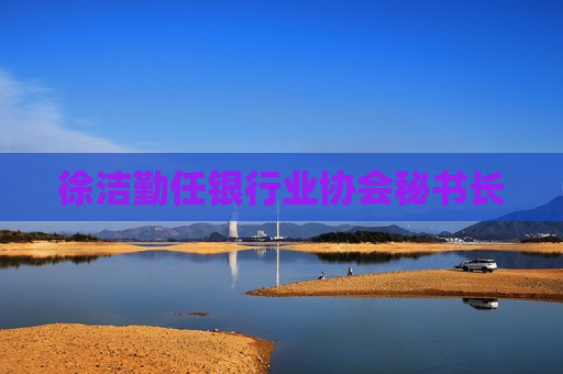 徐洁勤任银行业协会秘书长  第1张