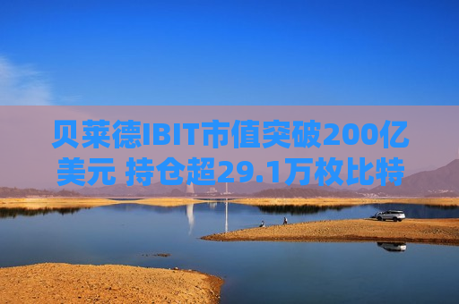 贝莱德IBIT市值突破200亿美元 持仓超29.1万枚比特币