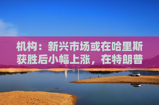 机构：新兴市场或在哈里斯获胜后小幅上涨，在特朗普获胜后下跌