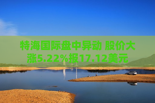 特海国际盘中异动 股价大涨5.22%报17.12美元