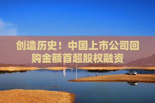 创造历史！中国上市公司回购金额首超股权融资  第1张