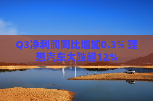 Q3净利润同比增加0.3% 理想汽车大跌超12%