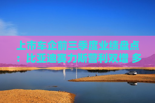 上市车企前三季度业绩盘点：比亚迪赛力斯营利双增 多家车企利润大幅下滑