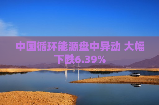 中国循环能源盘中异动 大幅下跌6.39%