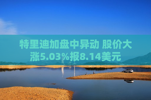 特里迪加盘中异动 股价大涨5.03%报8.14美元