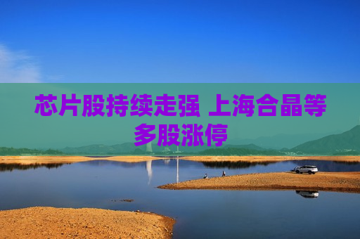 芯片股持续走强 上海合晶等多股涨停