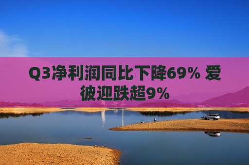 Q3净利润同比下降69% 爱彼迎跌超9%