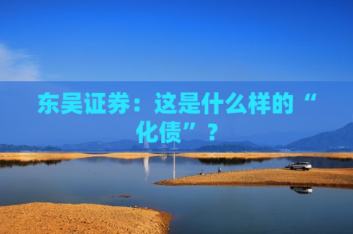 东吴证券：这是什么样的“化债”？