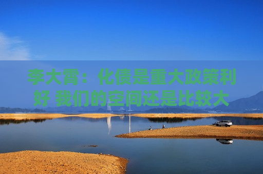 李大霄：化债是重大政策利好 我们的空间还是比较大的  第1张