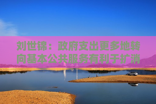 刘世锦： *** 支出更多地转向基本公共服务有利于扩消费、稳增长