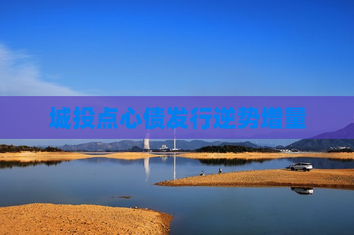 城投点心债发行逆势增量