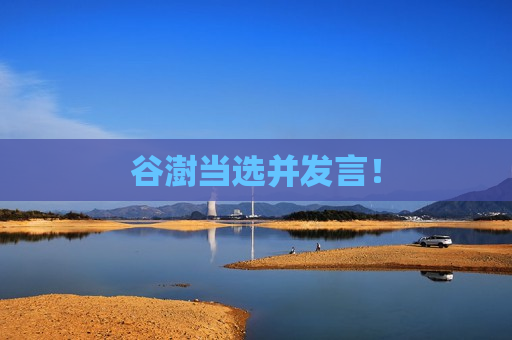 谷澍当选并发言！