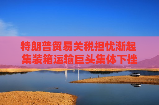 特朗普贸易关税担忧渐起 集装箱运输巨头集体下挫