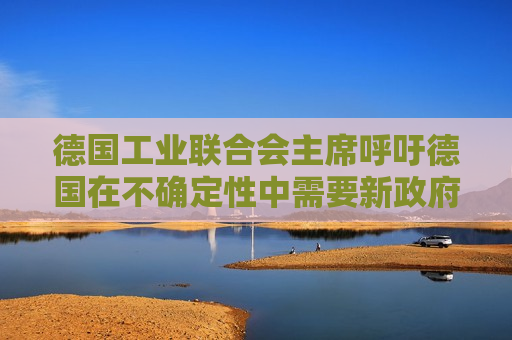 德国工业联合会主席呼吁德国在不确定性中需要新 *** 