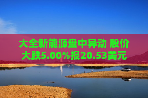 大全新能源盘中异动 股价大跌5.00%报20.53美元