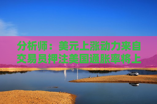 分析师：美元上涨动力来自交易员押注美国通胀率将上升
