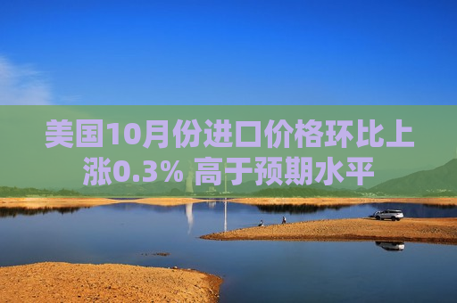 美国10月份进口价格环比上涨0.3% 高于预期水平