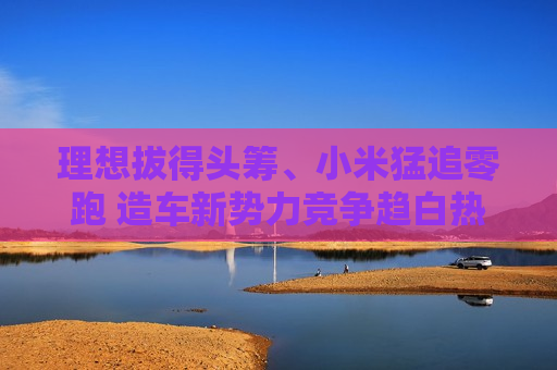 理想拔得头筹、小米猛追零跑 造车新势力竞争趋白热化  第1张