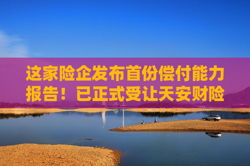 这家险企发布首份偿付能力报告！已正式受让天安财险保险业务