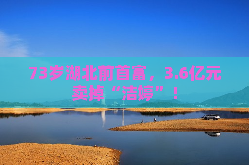 73岁湖北前首富，3.6亿元卖掉“洁婷”！