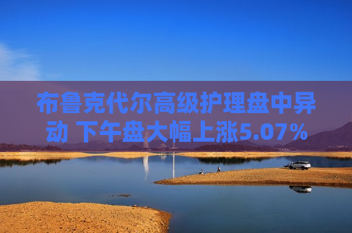 布鲁克代尔高级护理盘中异动 下午盘大幅上涨5.07%
