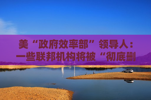 美“ *** 效率部”领导人：一些联邦机构将被“彻底删除”