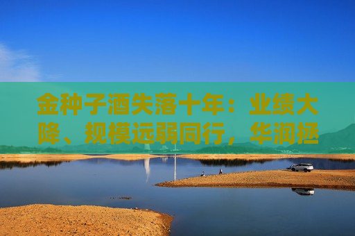 金种子酒失落十年：业绩大降、规模远弱同行，华润拯救还要多久？