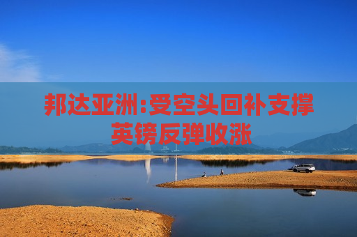 邦达亚洲:受空头回补支撑 英镑反弹收涨  第1张