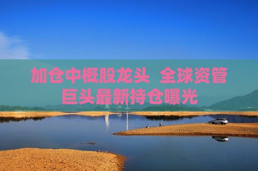 加仓中概股龙头  全球资管巨头最新持仓曝光