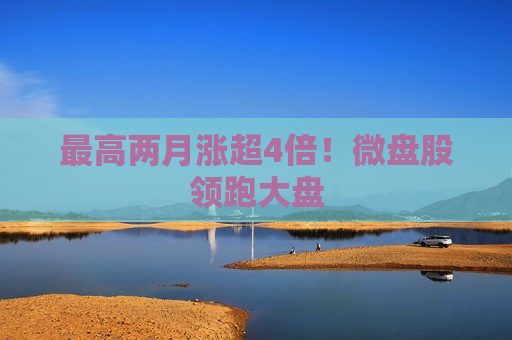 更高两月涨超4倍！微盘股领跑大盘  第1张