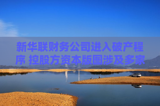 新华联财务公司进入破产程序 控股方资本版图涉及多家险企