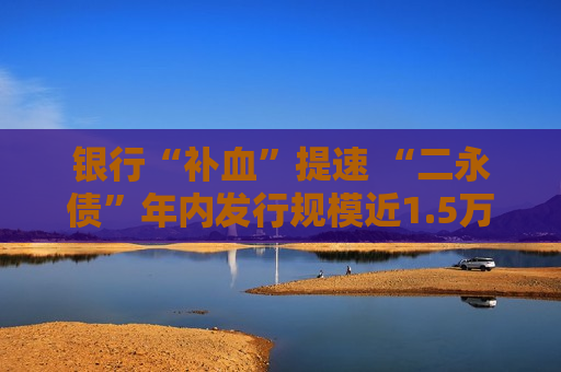 银行“补血”提速 “二永债”年内发行规模近1.5万亿元  第1张