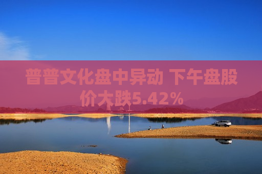 普普文化盘中异动 下午盘股价大跌5.42%