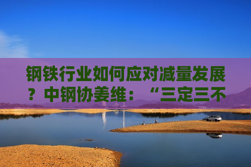 钢铁行业如何应对减量发展？中钢协姜维：“三定三不要”要坚持不懈