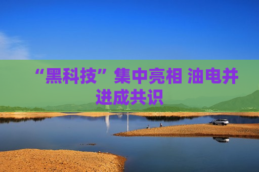 “黑科技”集中亮相 油电并进成共识