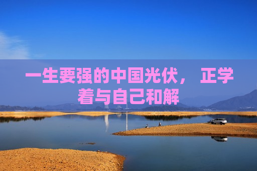 一生要强的中国光伏， 正学着与自己和解