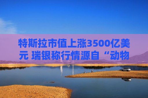 特斯拉市值上涨3500亿美元 瑞银称行情源自“动物精神”而非基本面